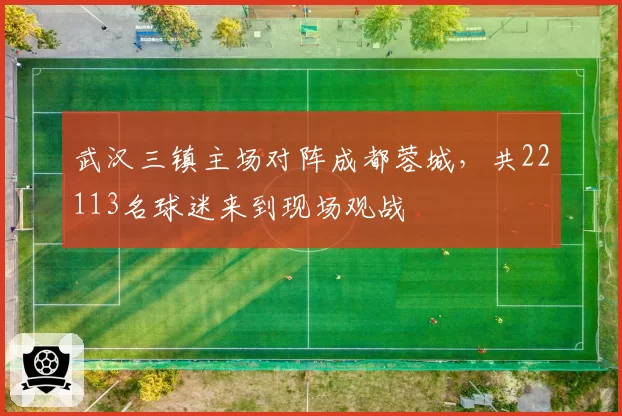 武汉三镇主场对阵成都蓉城，共22113名球迷来到现场观战