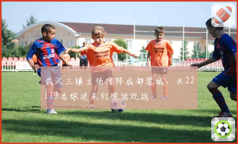 武汉三镇主场对阵成都蓉城，共22113名球迷来到现场观战